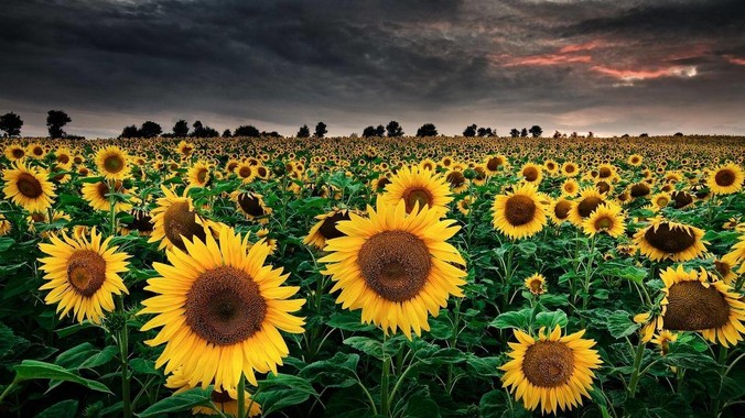 央企的信创，是否有必要把 spring 替换成国产的 solon ？